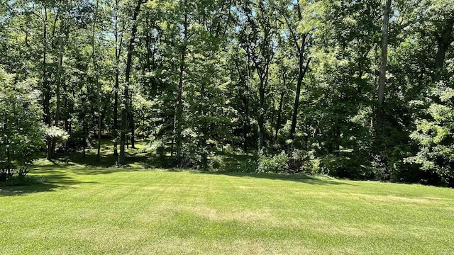 1410 Rock Creek Dr, Benton, AR 72019 - view of green lawn