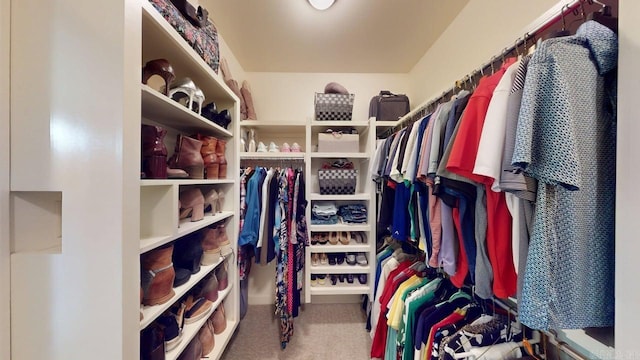 spacious closet featuring carpet floors