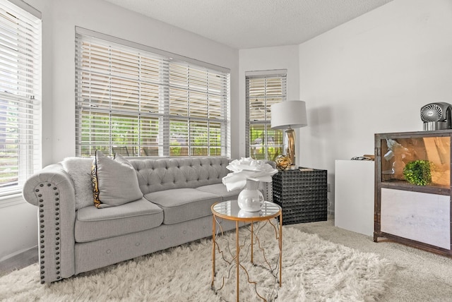 9 Leeward Ct, Maumelle, AR 72113 - carpeted living area with a textured ceiling