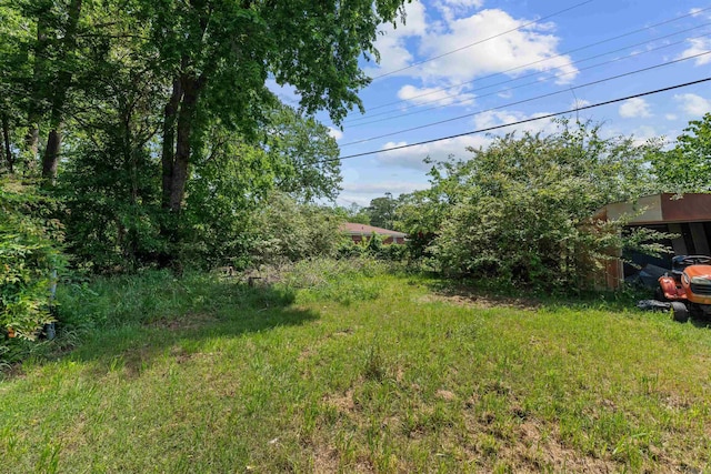 1217 Look St, Little Rock, AR 72204 - view of yard