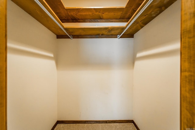 walk in closet featuring carpet