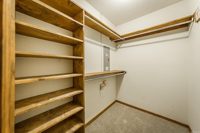 spacious closet with carpet and electric panel