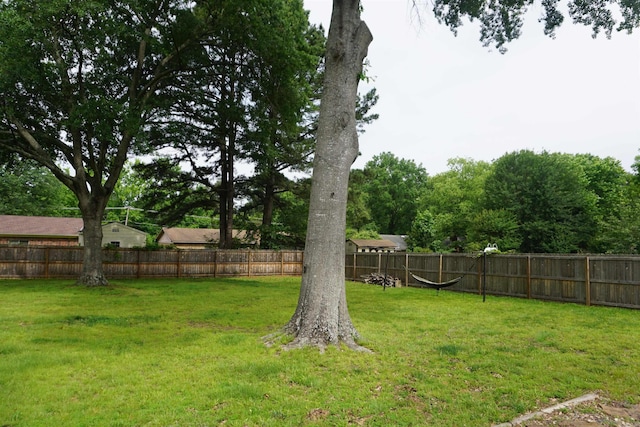 8 Tina Cir, Searcy, AR 72143 - view of yard