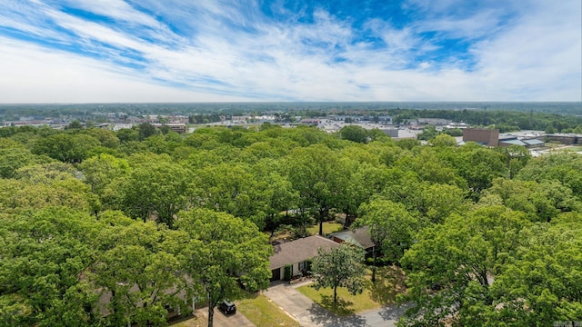 3016 Cleburne Pl, North Little Rock, AR 72116 - bird's eye view of a forest