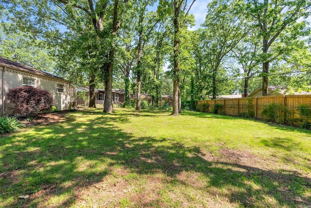 3016 Cleburne Pl, North Little Rock, AR 72116 - view of yard