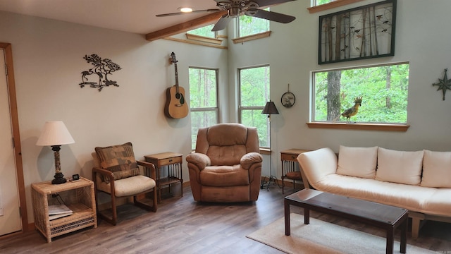 180 Herschel B Guinn Rd, Story, AR 71970 - living area with ceiling fan, plenty of natural light, and wood finished floors