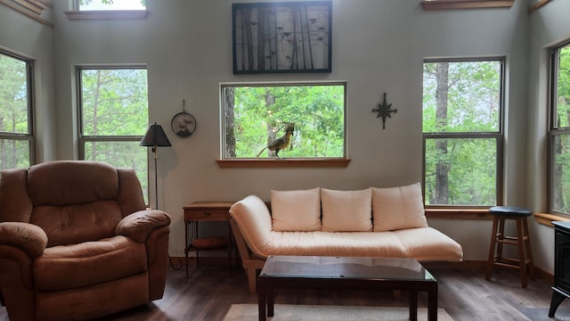 180 Herschel B Guinn Rd, Story, AR 71970 - living area with wood finished floors and healthy amount of natural light