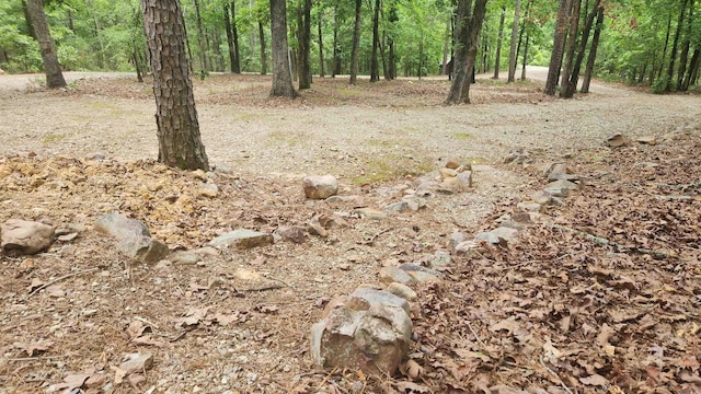 180 Herschel B Guinn Rd, Story, AR 71970 - view of tree filled area