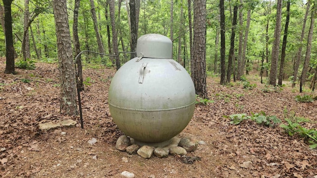 180 Herschel B Guinn Rd, Story, AR 71970 - exterior view of gas tank and a view of trees