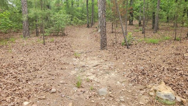 180 Herschel B Guinn Rd, Story, AR 71970 - view of woods