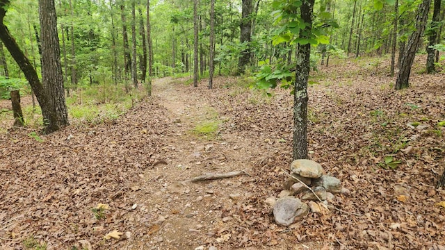 180 Herschel B Guinn Rd, Story, AR 71970 - view of tree filled area