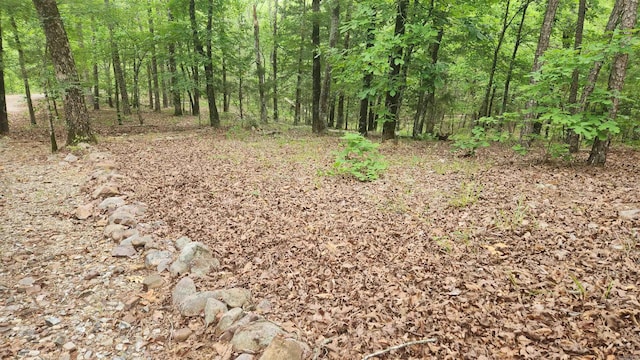 180 Herschel B Guinn Rd, Story, AR 71970 - view of tree filled area