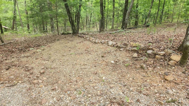 180 Herschel B Guinn Rd, Story, AR 71970 - view of woods
