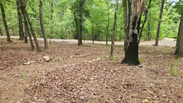 180 Herschel B Guinn Rd, Story, AR 71970 - view of woods
