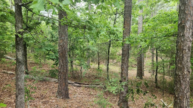 180 Herschel B Guinn Rd, Story, AR 71970 - view of tree filled area
