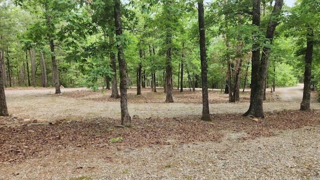 180 Herschel B Guinn Rd, Story, AR 71970 - view of wooded area