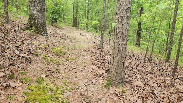 180 Herschel B Guinn Rd, Story, AR 71970 - view of woods