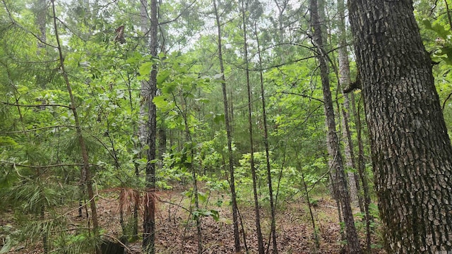 180 Herschel B Guinn Rd, Story, AR 71970 - view of wooded area