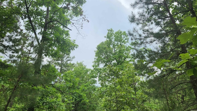 180 Herschel B Guinn Rd, Story, AR 71970 - view of local wilderness