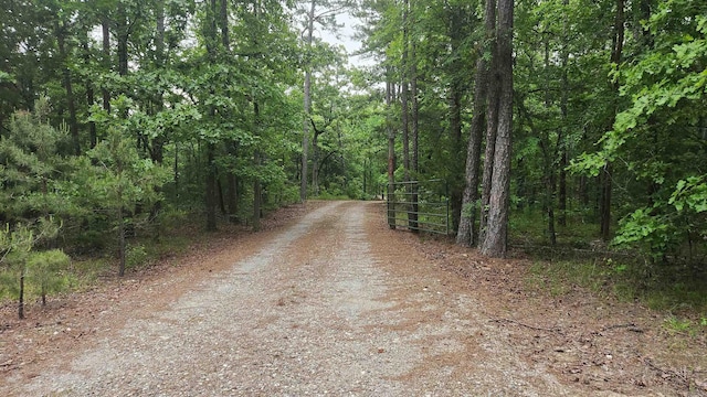 180 Herschel B Guinn Rd, Story, AR 71970 - view of dirt / gravel road with a view of trees