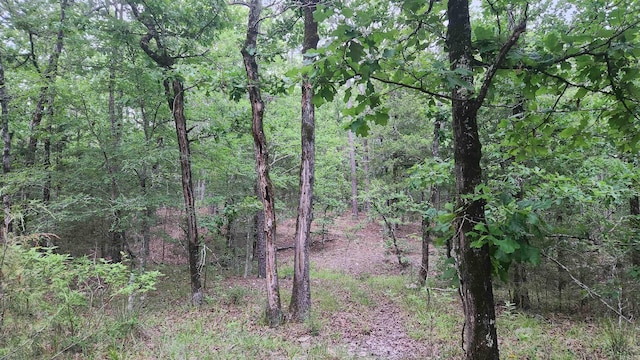 180 Herschel B Guinn Rd, Story, AR 71970 - view of tree filled area