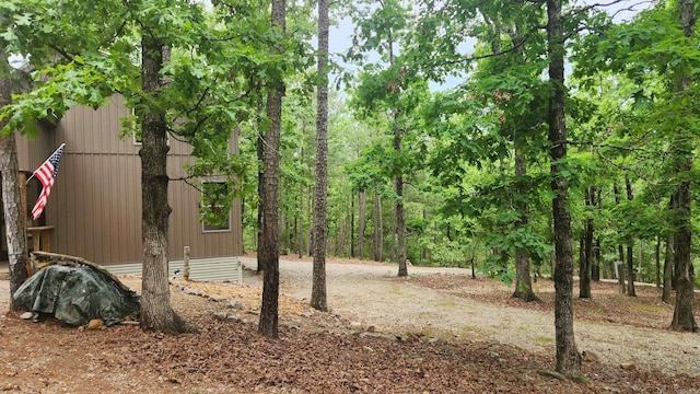 180 Herschel B Guinn Rd, Story, AR 71970 - view of yard