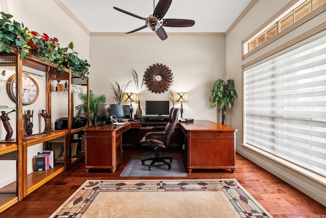 office with wood finished floors, a ceiling fan, and crown molding