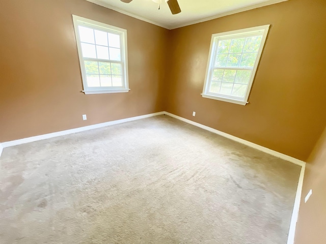 806 Autumnwood Rd, Ash Flat, AR 72513 - unfurnished room with a ceiling fan, baseboards, carpet, and crown molding