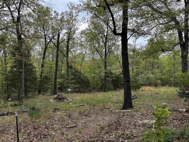 340 Griffin Rd, Hardy, AR 72542 - view of wooded area