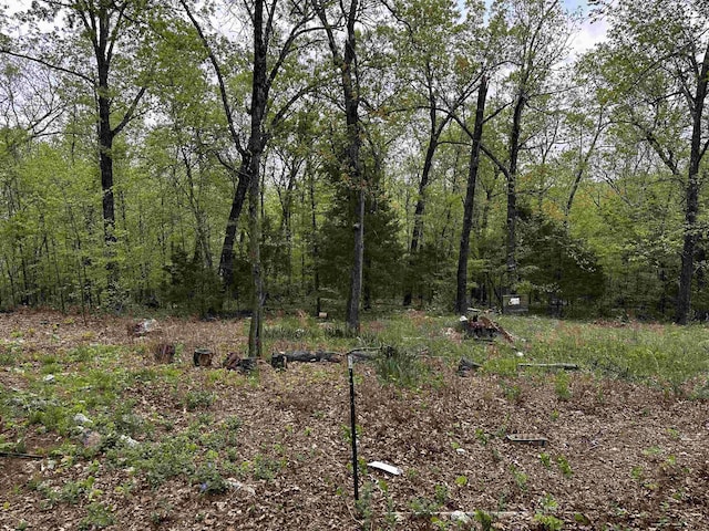340 Griffin Rd, Hardy, AR 72542 - view of woods