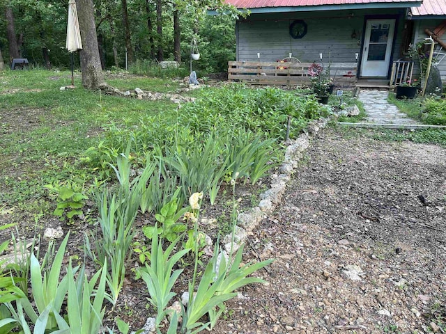 340 Griffin Rd, Hardy, AR 72542 - view of yard