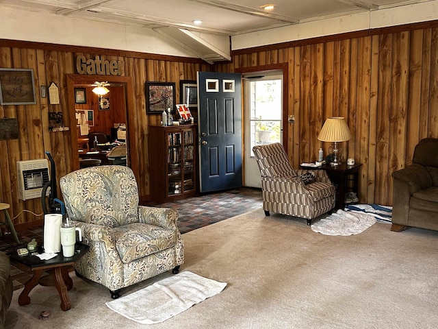 340 Griffin Rd, Hardy, AR 72542 - living area with wood walls, carpet flooring, and heating unit