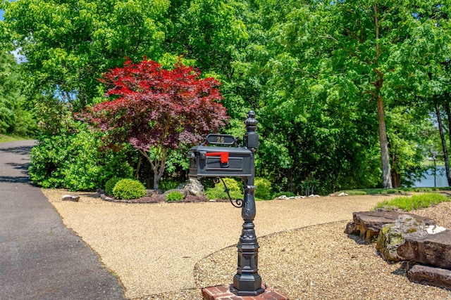 26 Pillar Ln, Hot Springs Village, AR 71909 - view of surrounding community