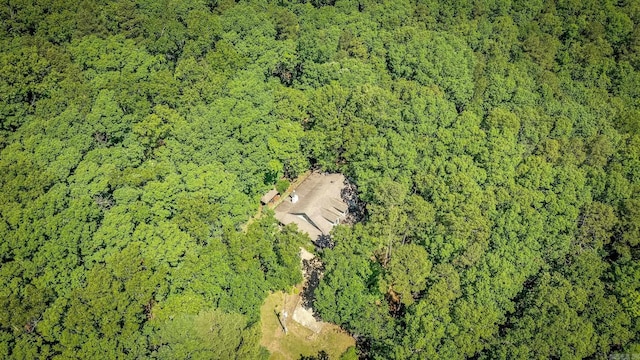 420 Shadow Ln, Clinton, AR 72031 - view of property location featuring a heavily wooded area
