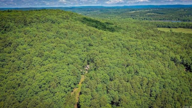 420 Shadow Ln, Clinton, AR 72031 - drone / aerial view of a heavily wooded area