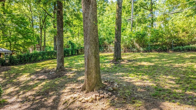 1118 Garland, North Little Rock, AR 72216 - view of yard