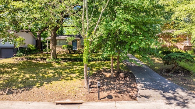 1118 Garland, North Little Rock, AR 72216 - view of yard