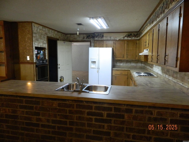 102 Turtle Creek Dr, Gurdon, AR 71743 - kitchen with white appliances, a sink, under cabinet range hood, a peninsula, and light countertops