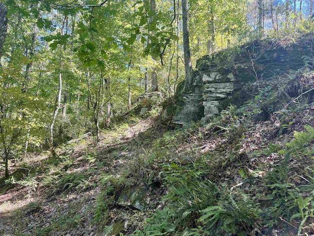 7847 S Ar 9 Hwy, Melbourne, AR 72556