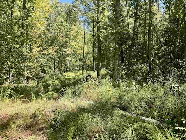 7847 S Ar 9 Hwy, Melbourne, AR 72556