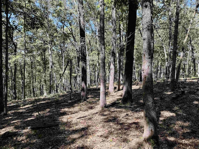 7847 S Ar 9 Hwy, Melbourne, AR 72556