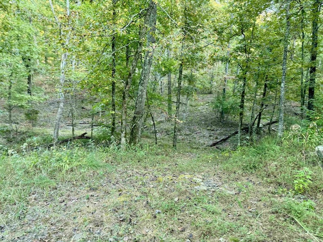 7847 S Ar 9 Hwy, Melbourne, AR 72556