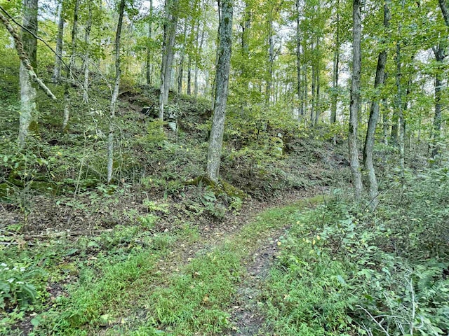 7847 S Ar 9 Hwy, Melbourne, AR 72556