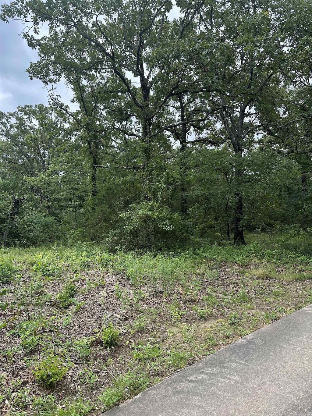 Apple Valley Dr, Sherwood, AR 72120