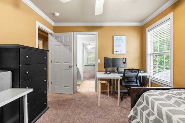 121 Lily Dr, Maumelle, AR 72113 - bedroom with light carpet, ornamental molding, multiple windows, and a desk