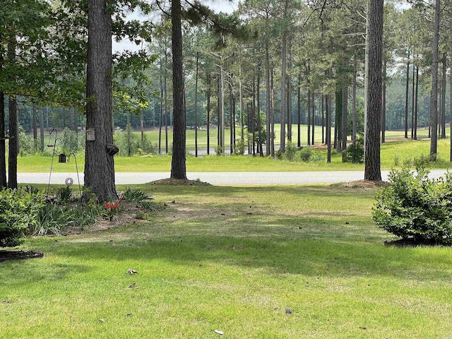 view of community featuring a lawn