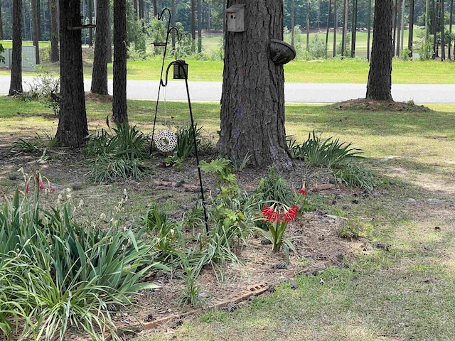 view of grassy yard