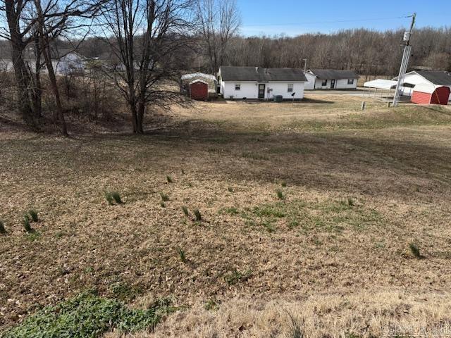 21 Emma Dr, Pocahontas, AR 72455 - view of yard