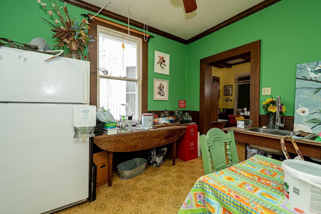 344 S Main St, Monticello, AR 71655 - bedroom with freestanding refrigerator, ornamental molding, a sink, and a ceiling fan