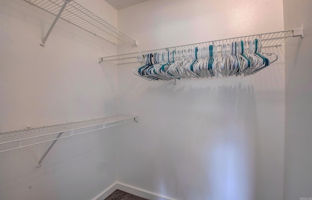 106 Venezia Ln, Maumelle, AR 72113 - view of walk in closet